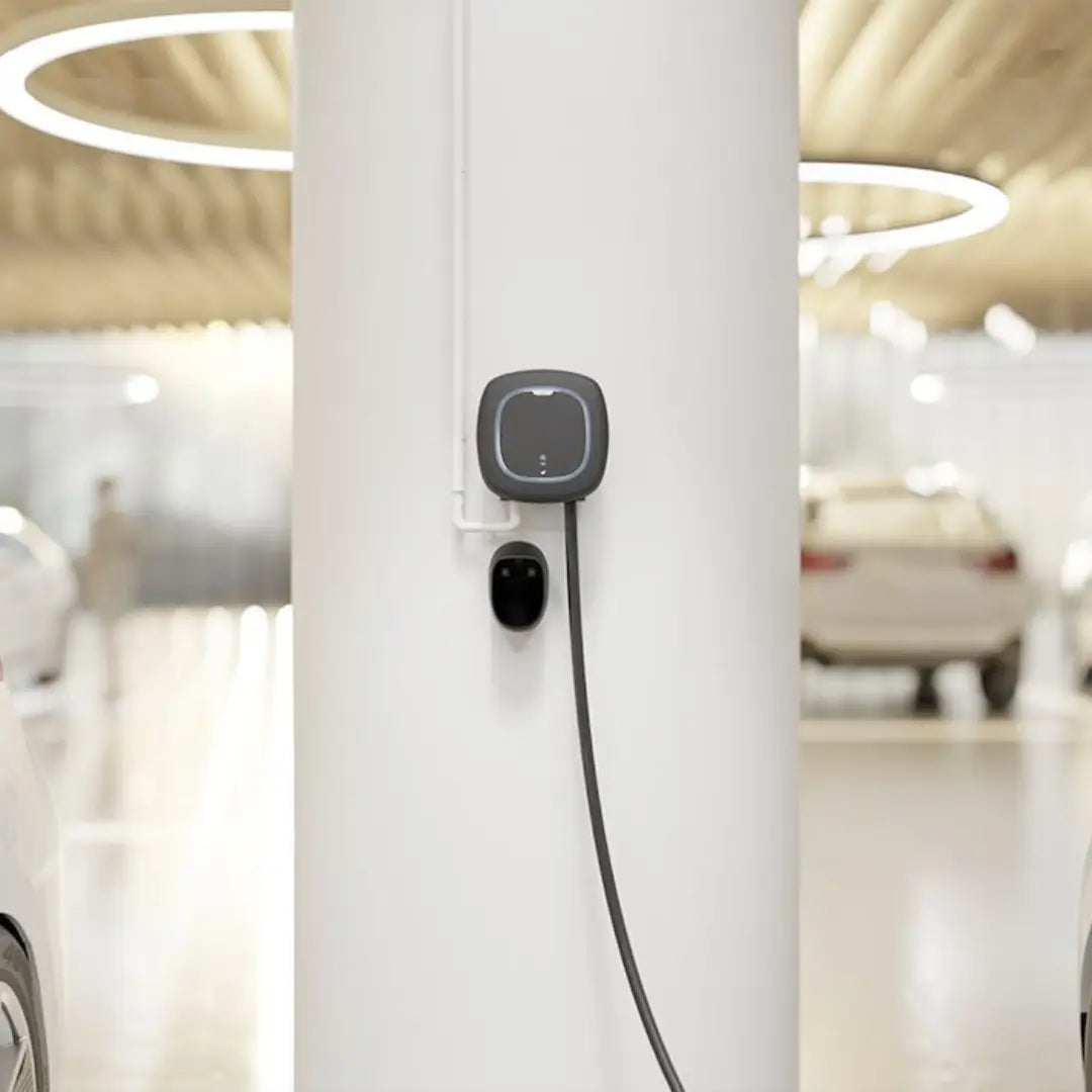 Wallbox Pulsar Pro 7.4 kW 5M T2s - IP55 - IK10 - RFID - 4G Wi-Fi - OCPP - Jusqu’à +50°C - MONOPHASE Product vendor